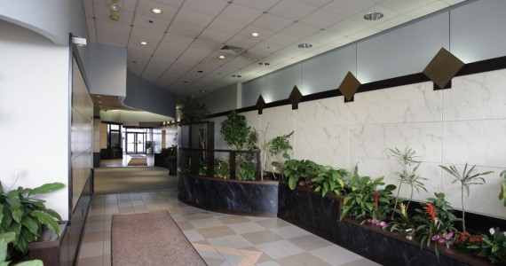 393-399 Old Country Rd, Carle Place Office Space For Lease