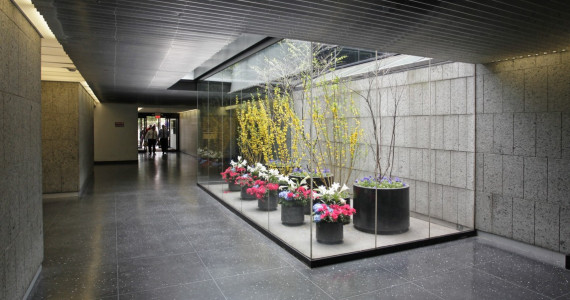 600 Northern Blvd, Great Neck Med Office Space For Lease