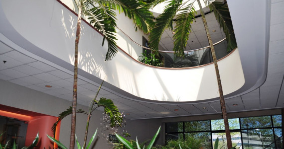 640 Johnson Ave, Bohemia Office Space For Lease