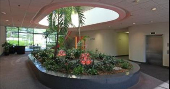 640 Johnson Ave, Bohemia Office Space For Lease