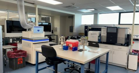 711 Stewart Ave, Garden City Office Space For Lease